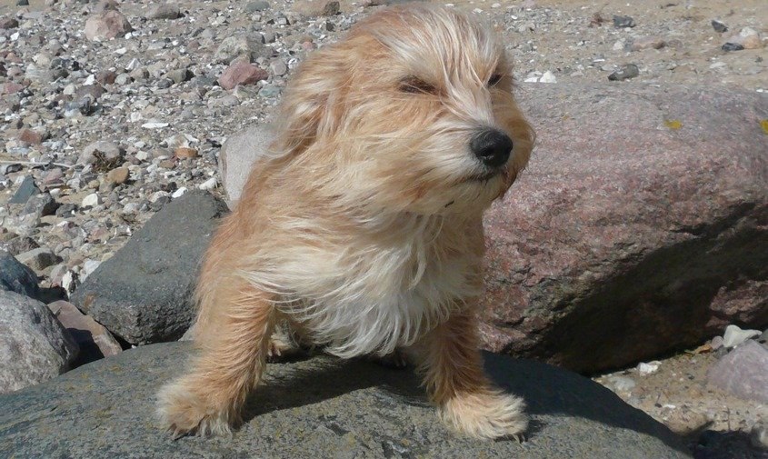 Прогноз погоды в Амурской области на 9 апреля (ПАЗЛ)