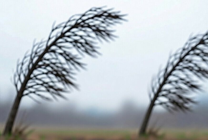 � �����, 8 ������, � �������� ������� ��������� ������� �������� �������