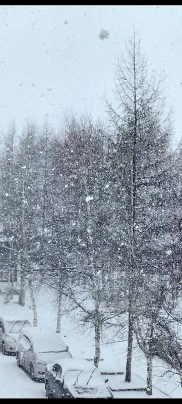 ���������� �����. ����� �������