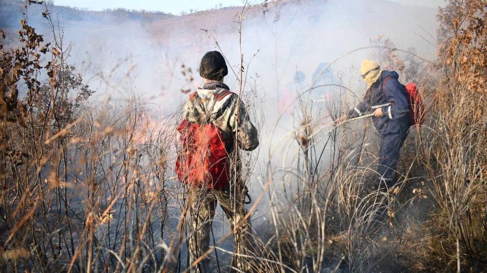 ������� �����: ������������� ������ � ������� ������ ����������