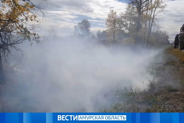 Ветер на неделю: режим повышенной готовности ввели в Благовещенске и округе