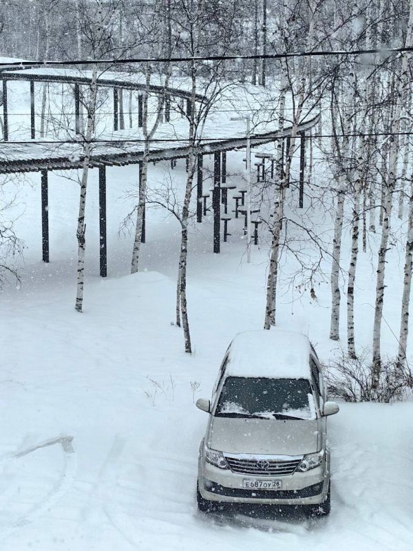 ���������� �����. ����� �������