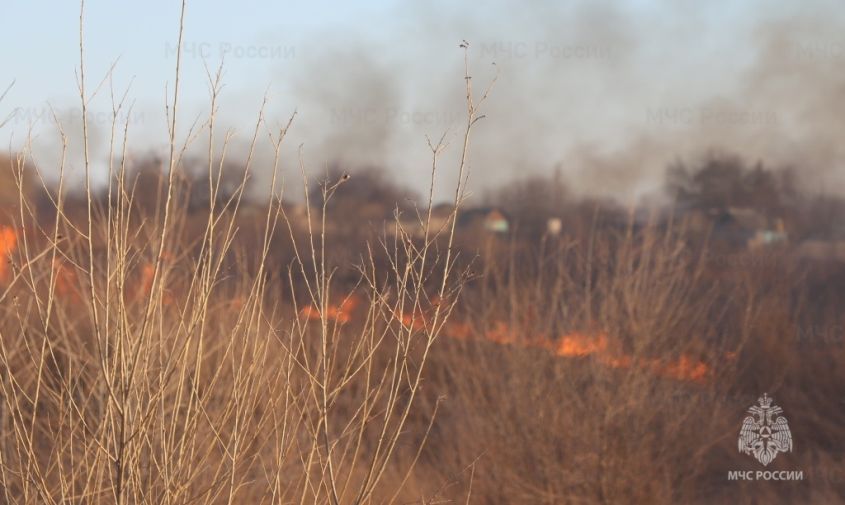 �������� � ������� ������: ����������� ������ � ����������� ������ ��������� ���������