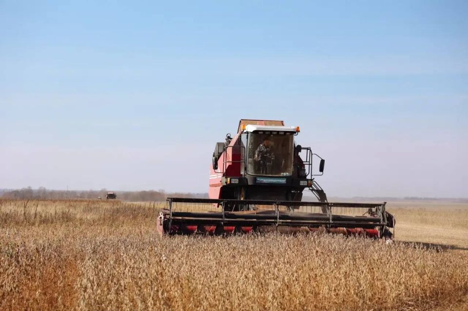 ������� �����: ���������� ��������� ������ �� �������� ����������������� ��������� �������