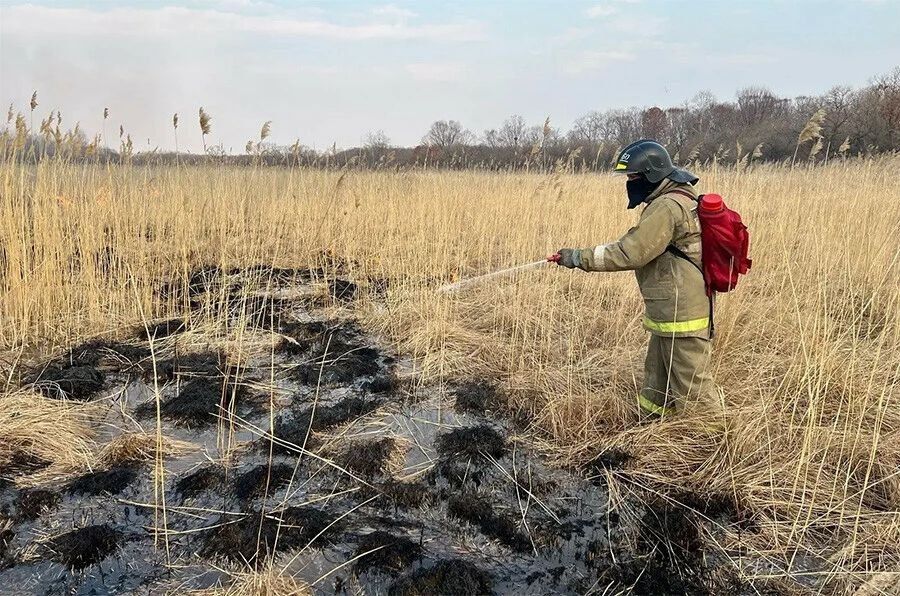 � 17 ��������������� ��������� ������ ������ ��������������� �����