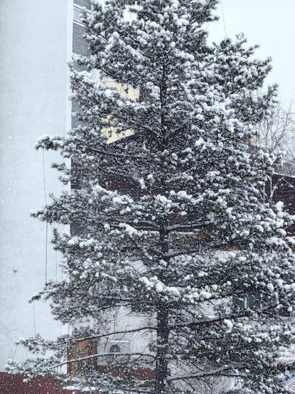 ���������� �����. ����� �������