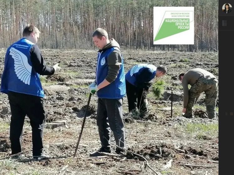 ������� ������: ���������� ����� �������������� � �������-�������������� �����