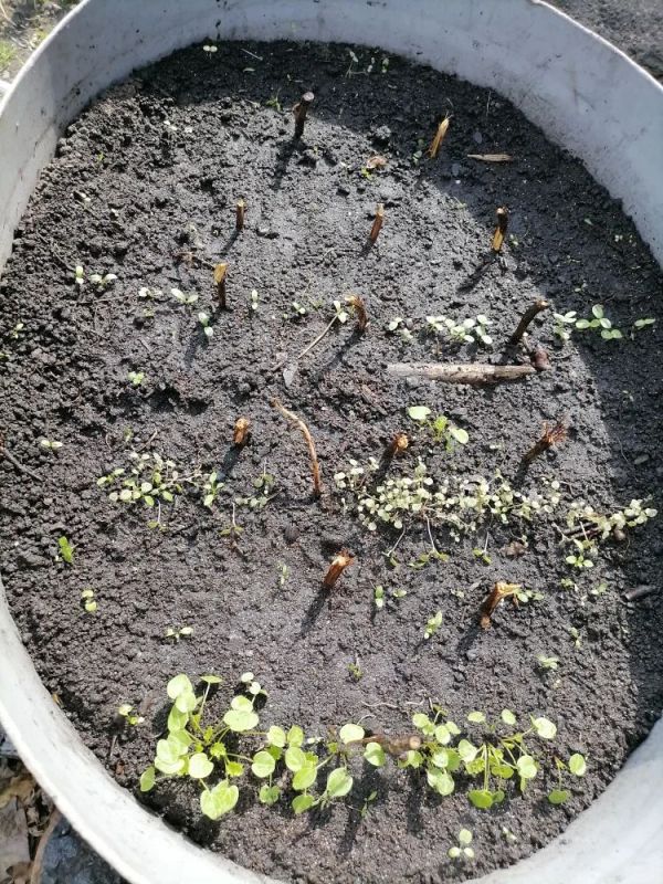 ����� � ����: ������� ���������� �������� ���������