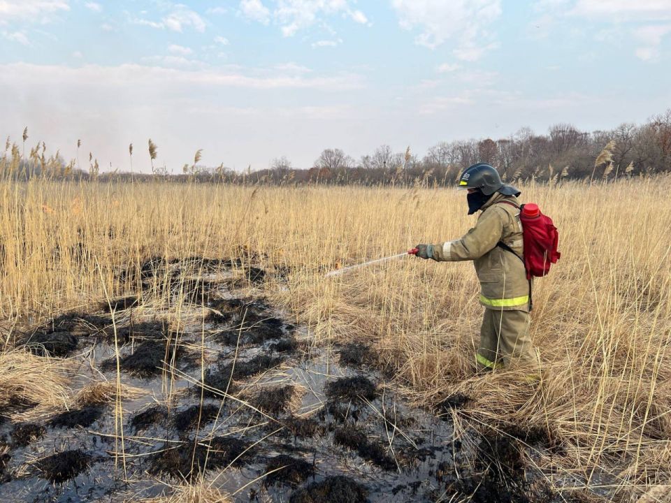 � 17 ��������������� ��������� ������ ������ ��������������� �����