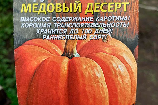 ����� ������� ������: ���������� ���� ��� ������ �������