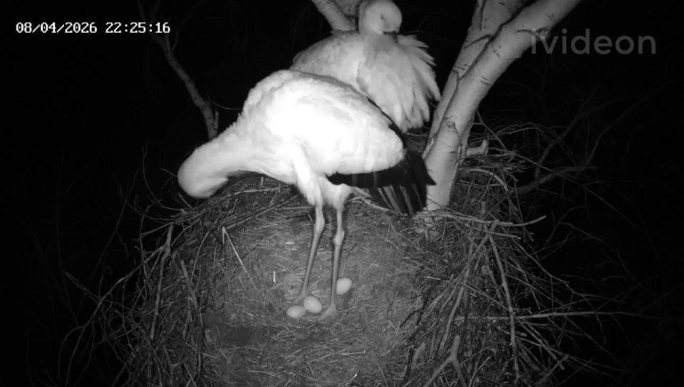 ����� ���� � ����!. � ��������� ����� ��������� ������ ����� � ��� ����� ������� ��������� ������ ����