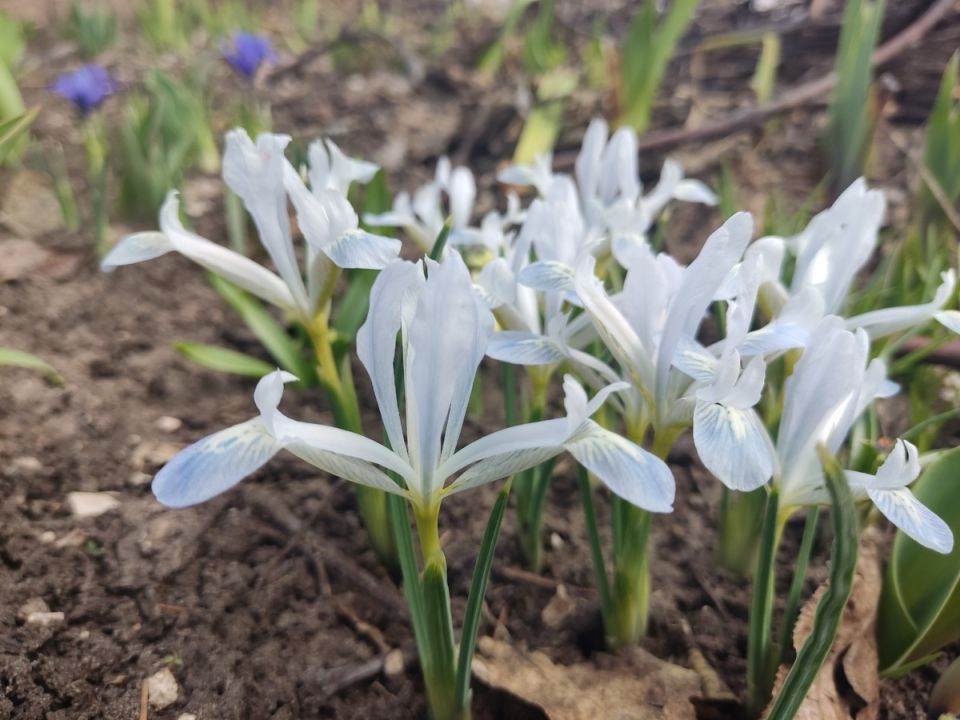 ����� � ����: ������ �������� ���������� ������� ��������� ������ �����������?