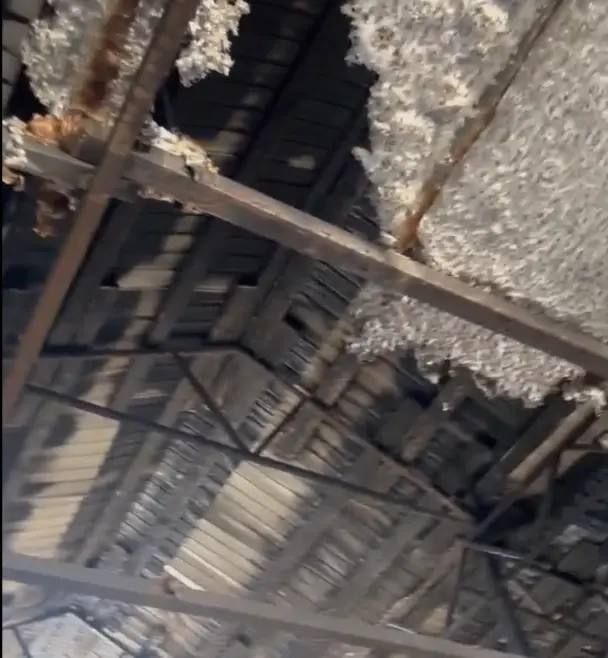 ������� ��� ����������� ��������� ����� ��������� ��������� �������