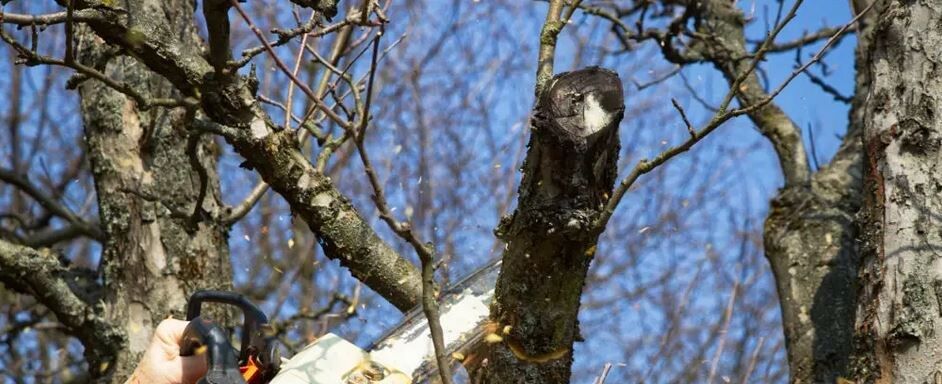 ��� ������� ����� ������ ������: �������� ������ �� ������� � �����