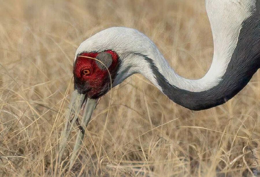 � �������� ������� ��������� �������� ������� � ������ ��� �������� ��������� �� ������� ������� ������