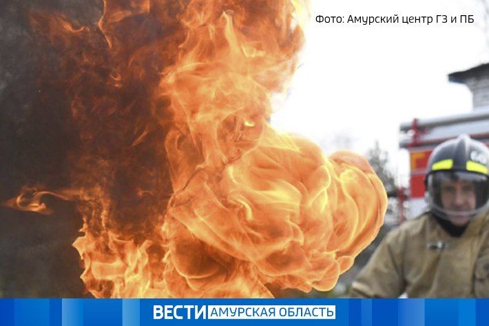 ������� ���������� ����� � ����: ���������� ��������� ������� ������� �������� ������������ � ������