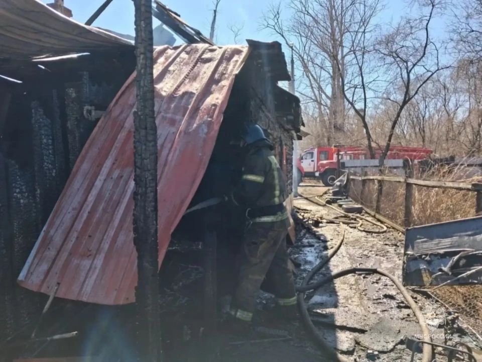 ���� � �������� �������� �� ����� ����� ������� �������: � ���������� �������� ������� ���