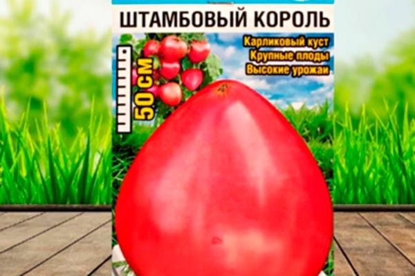 ����� ��������� ������: ������� ��������� ����������� � ���������� �����������