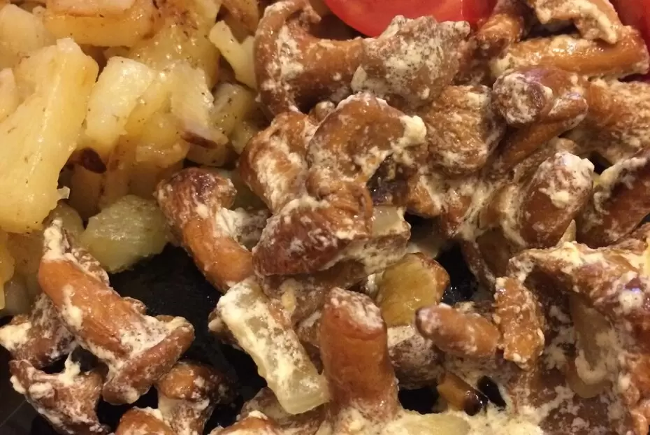 Лисички в сметанном соусе: как приготовить вкусное осеннее блюдо