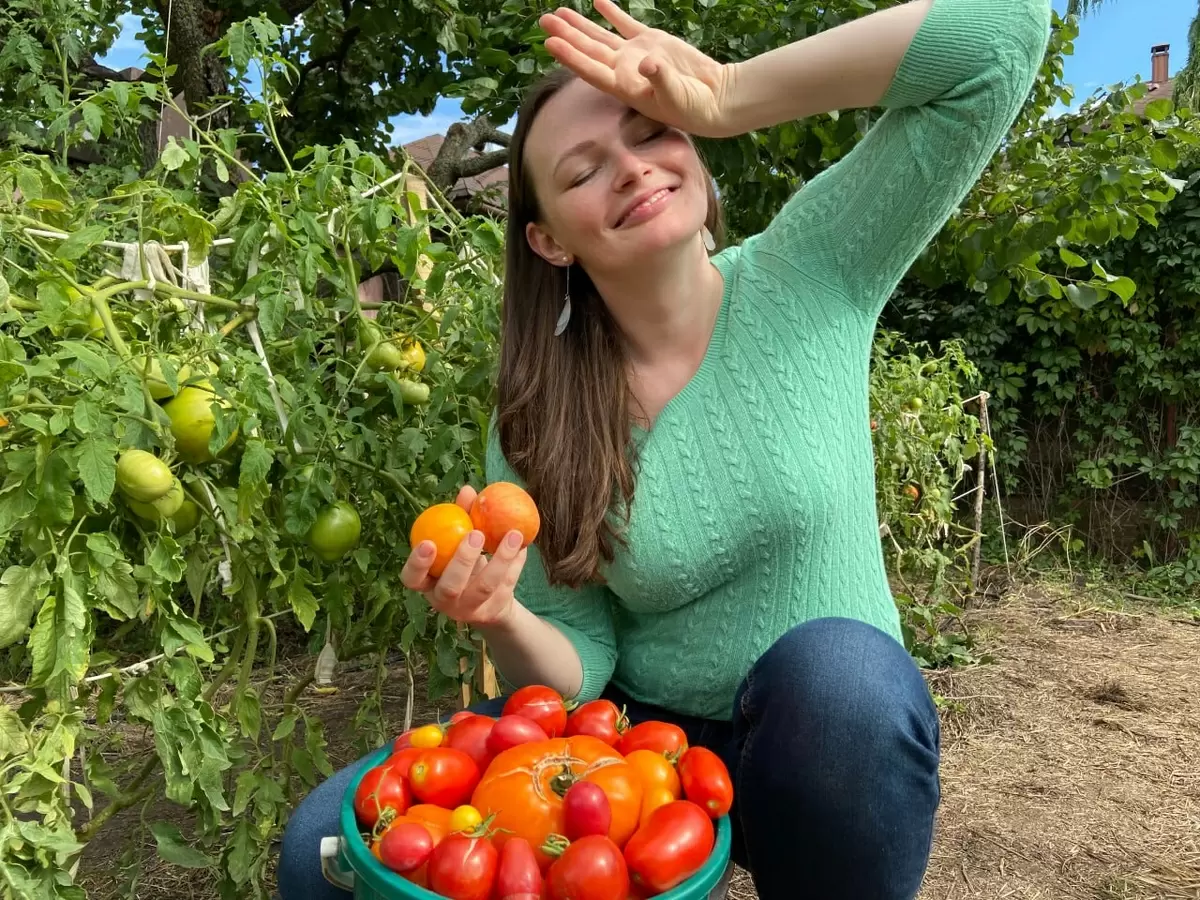 Как правильно организовать севооборот на даче: простые шаги к успеху
