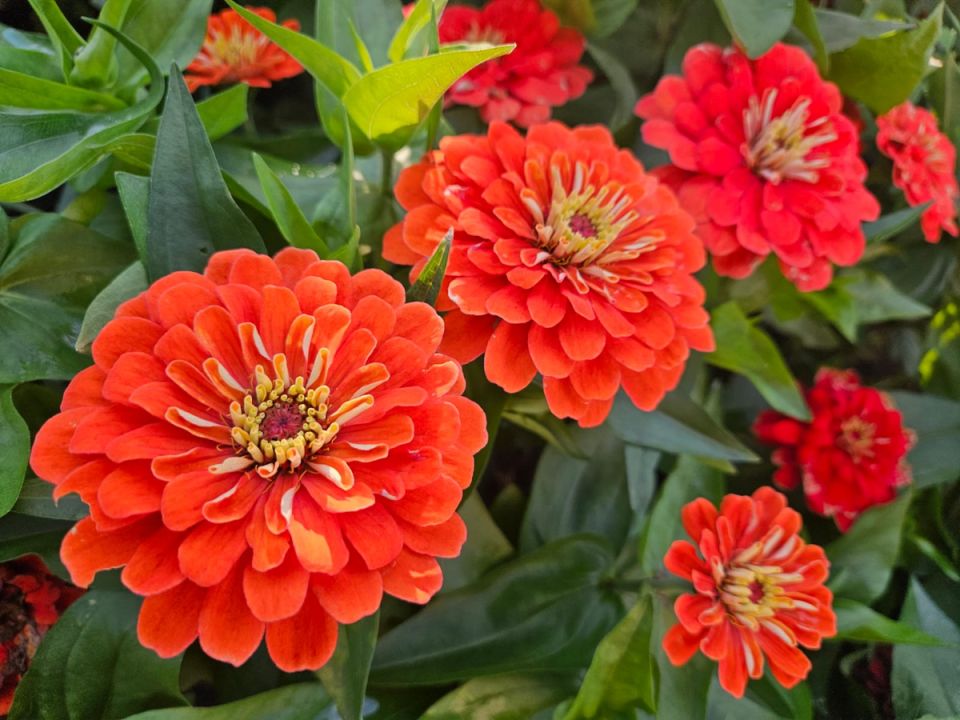 ������� � �����: ��� ���� ������������ � ������ ��� ���������