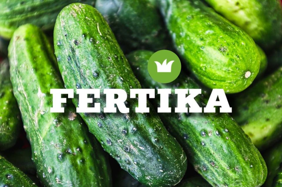 ��� ��������� ������ ������: ������ � ������������