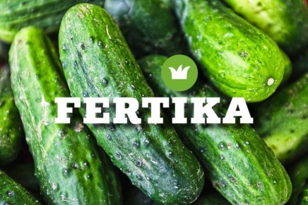 ��� ��������� ������ ������: ������ � ������������