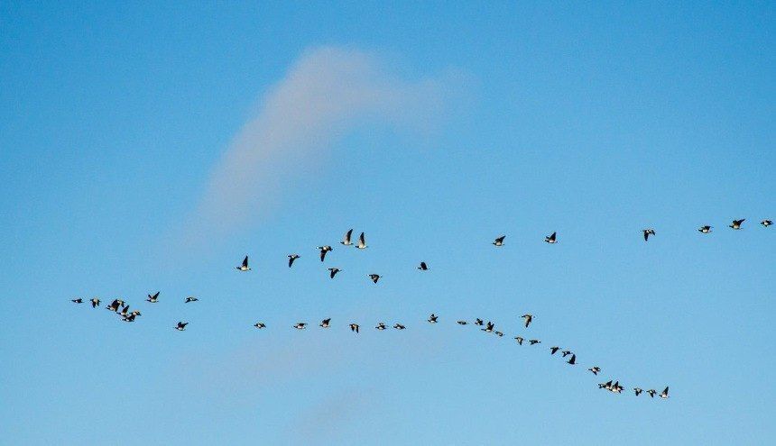 �������� �� ����� � ���� ��������� � �������� ������