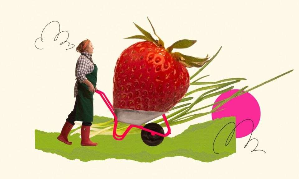 ��� ��������� ������������ ������� � ������������ �������� ��� ������ ��� ������