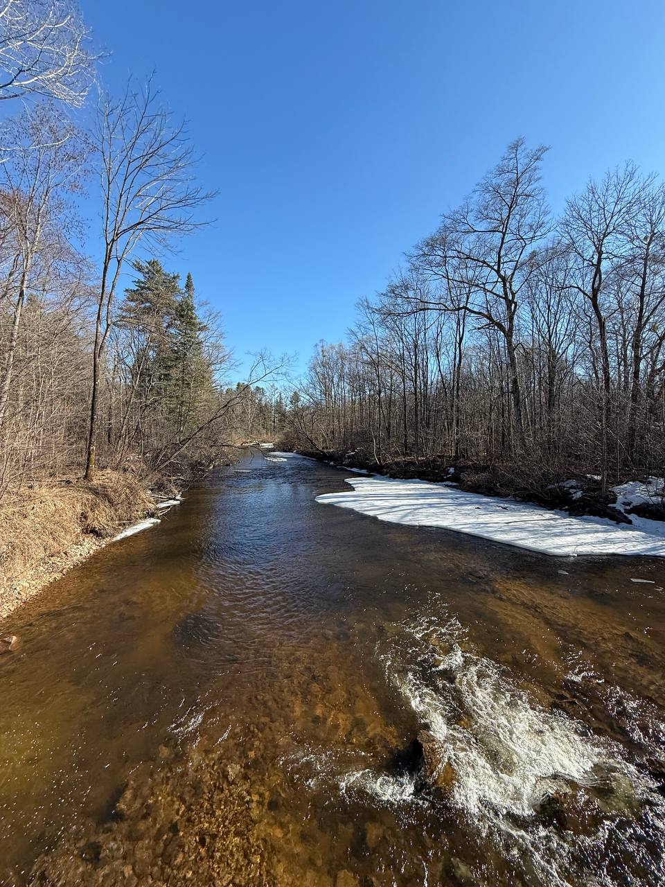Евгений Попов: Фотоловушка, лёжка медведя и таёжная река Евгений Попов: Фотоловушка, лёжка медведя и таёжная река