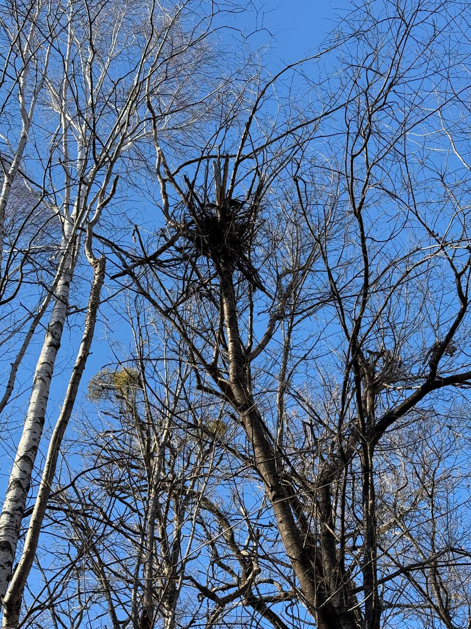 Евгений Попов: Фотоловушка, лёжка медведя и таёжная река Евгений Попов: Фотоловушка, лёжка медведя и таёжная река