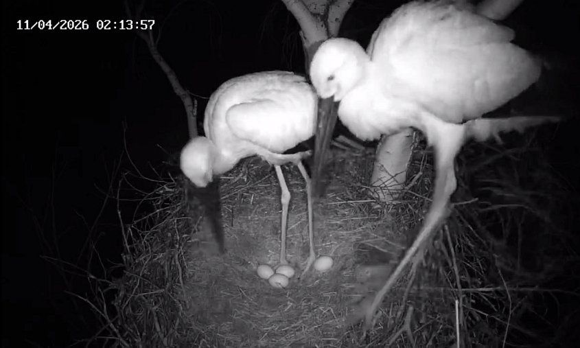 ������ ������� � ��������� ����: � ������ ����� � ��� ������� ���������� �����