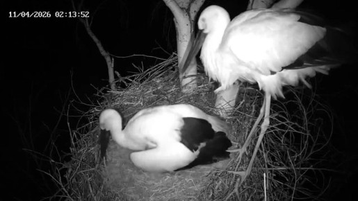 � ������ ����� � ��� ��������� ��������� ����!