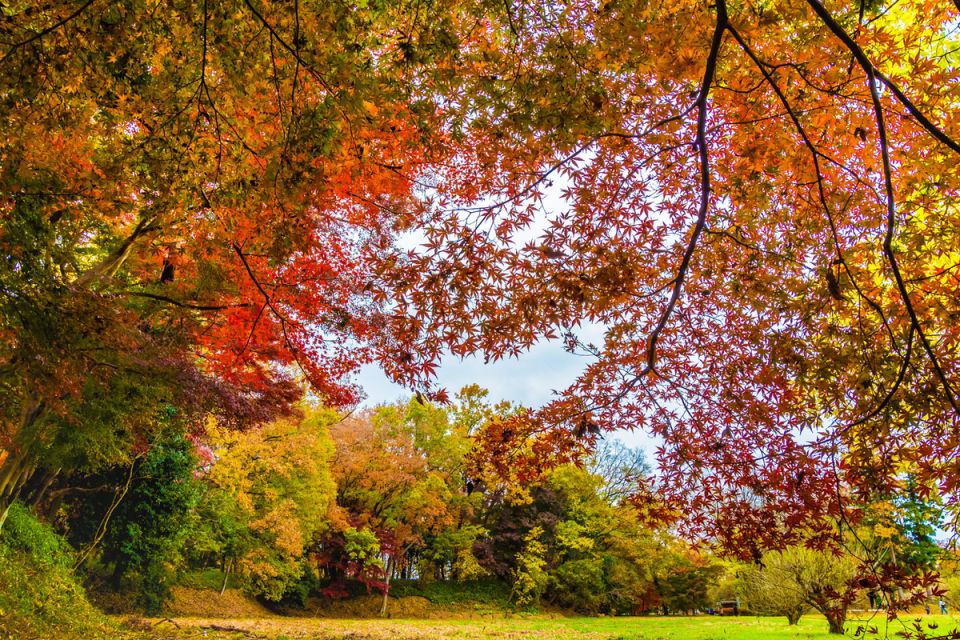 ����� ���� ������� ��� ����: ����� �������� ���� � ������ �� �����