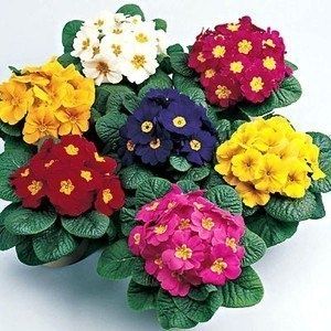 �������: ���������� ����� � ������ ������� � �������� �����