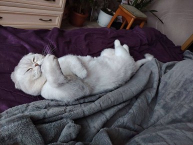 ������������ ��������. �������� ��� �� ��������� @ampravda