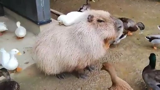 ������ ����! . ������� � ���������� ���� ��� ���