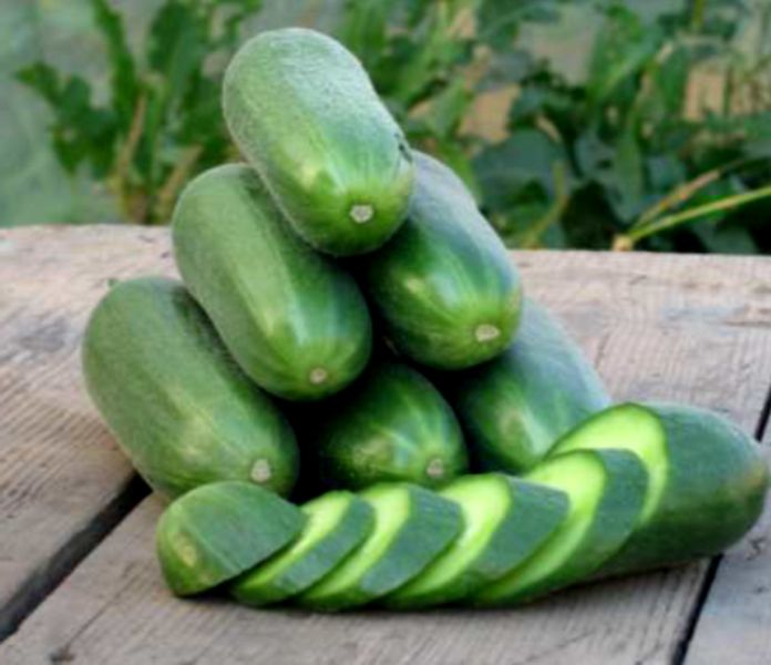 ������ ����: ��������� ����� ��� ������ ���������� ����