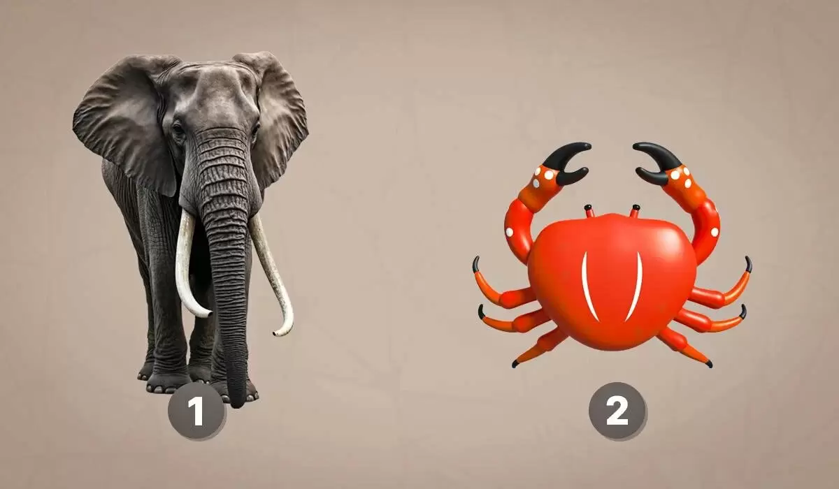 Как ваш выбор животного может рассказать о внутренней обиде