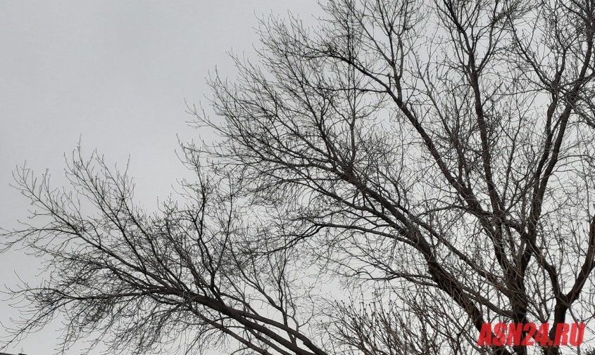 ������� ������ � �������� ������� �� 13 ������