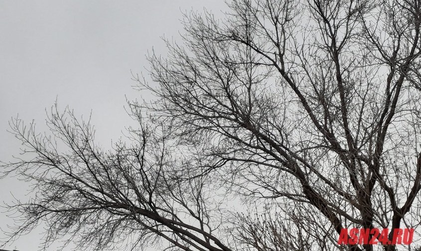 Прогноз погоды в Амурской области на 13 апреля