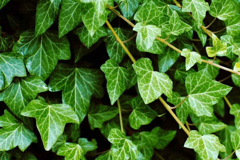 �������� ������: ��� ��������� ��������� �� ������ � ����� ����