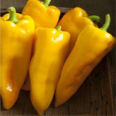 ����� ���������: ��� ��������� ������� � ������� ����� �� ����� �������