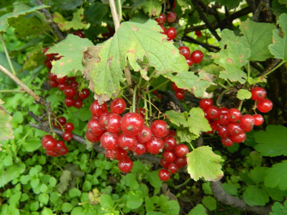 ������ � ����� ����: ������������ ������������ ���� ��� ������� �������