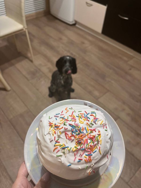 � ����������!. ���� �� ��������� @ampravda