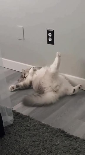 ������ ����! . ������� ����