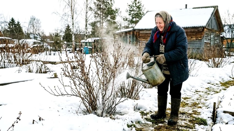 ��� ��������� ��������� �� ���������� � ����� ��� ������� ������