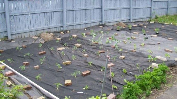 ����� ��������� �������� ������ ��� ������� �� ��� ����