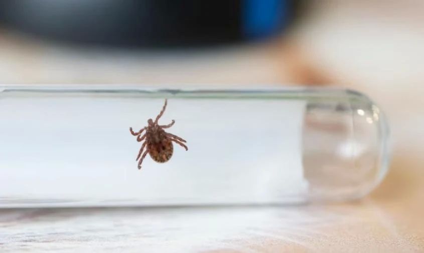 � ��������� ����� ������� ���������� �����, ������������ �� ������ ������