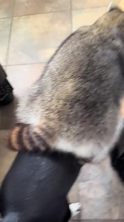 ������ ����! . ���� �� ������